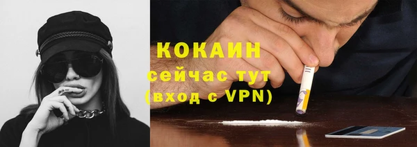 ПСИЛОЦИБИНОВЫЕ ГРИБЫ Осинники